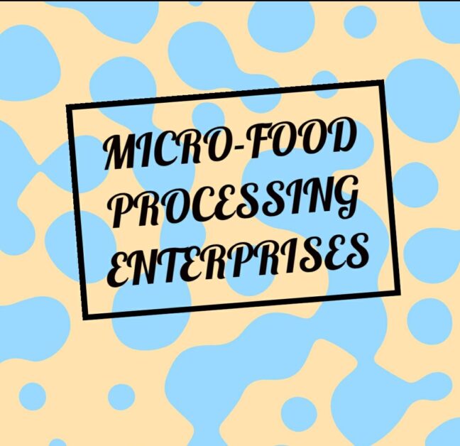 Formalisation Of Micro-Food Processing Enterprises