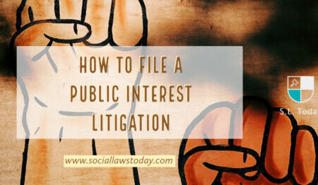 PUBLIC INTEREST LITIGATION
