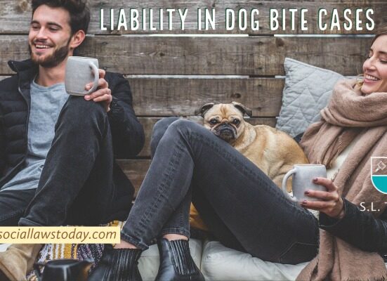 Pet owner's liability in dog bite cases