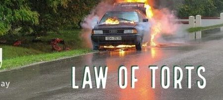 Palak Jain, a 1st-year law student at Law College Rajasthan University has written this article explaining the meaning and nature of Tort Law