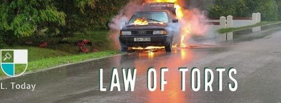 Palak Jain, a 1st-year law student at Law College Rajasthan University has written this article explaining the meaning and nature of Tort Law