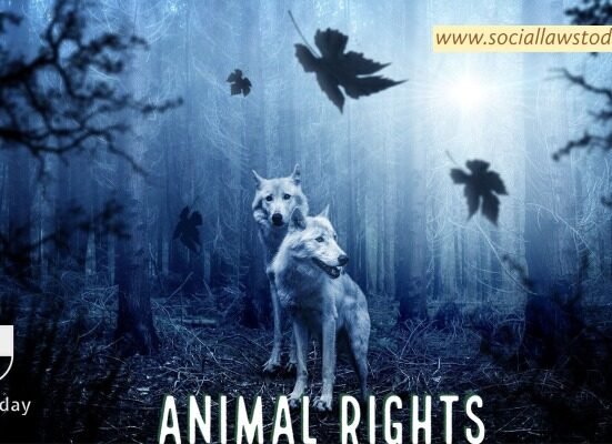 Time To Recognise Animal Rights