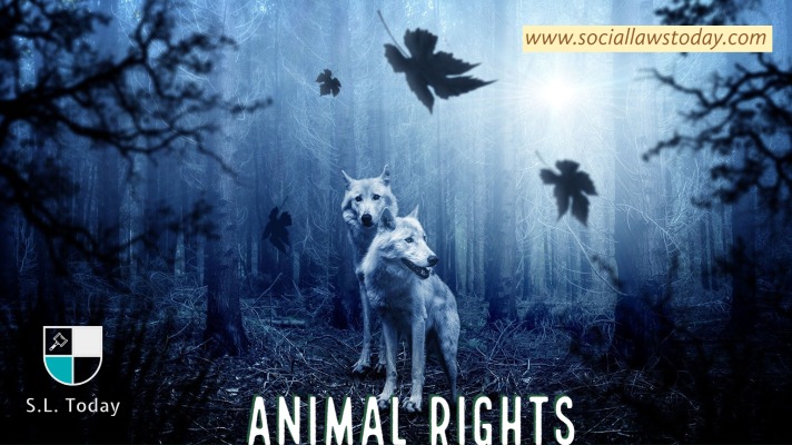 Time To Recognise Animal Rights