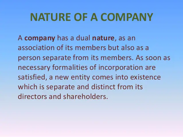 Nature of a company