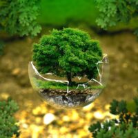 Right to Healthy Environment Under Constitution