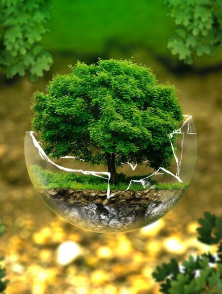 Right to Healthy Environment Under Constitution