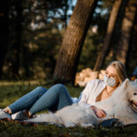 Dog Breeding in India