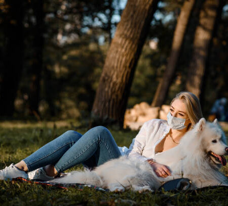Dog Breeding in India